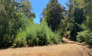 Parcela en venta en PELLUHUE