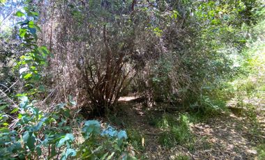 Parcela en venta en PELLUHUE