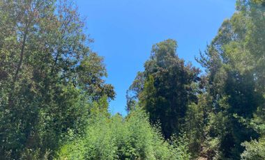 Parcela en venta en PELLUHUE