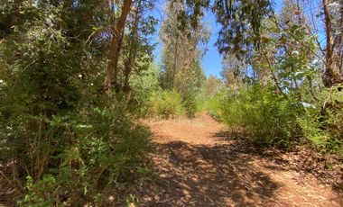 Parcela en venta en PELLUHUE