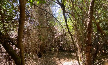 Parcela en venta en PELLUHUE