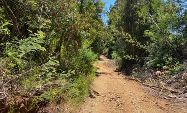 Parcela en venta en PELLUHUE