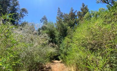 Parcela en venta en PELLUHUE