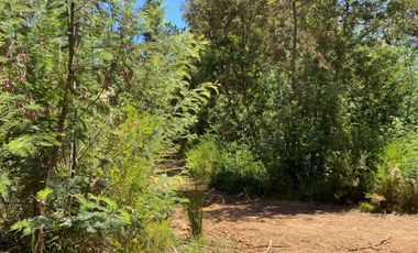 Parcela en venta en PELLUHUE