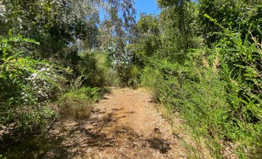 Parcela en venta en PELLUHUE