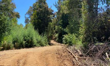 Parcela en venta en PELLUHUE