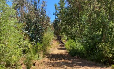 Parcela en venta en PELLUHUE