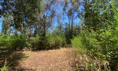 Parcela en venta en PELLUHUE