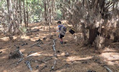 Parcela en venta en PAREDONES