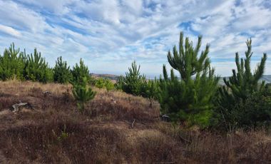 Parcela en venta en PAREDONES