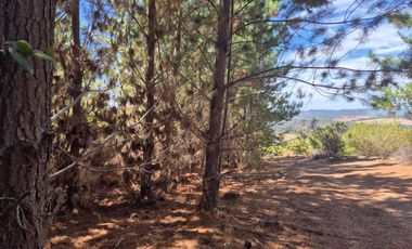 Parcela en venta en PAREDONES