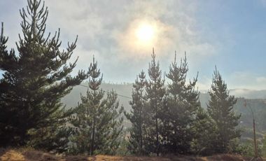 Parcela en venta en PAREDONES