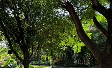 Quinta Comercial UNICA en Venta Xochitepec Morelos