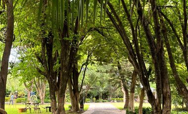 Quinta Comercial UNICA en Venta Xochitepec Morelos