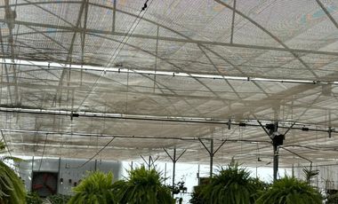 Quinta Comercial UNICA en Venta Xochitepec Morelos