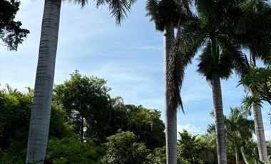 Quinta Comercial UNICA en Venta Xochitepec Morelos