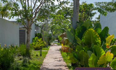 Zensia Casa en condominio en venta en Jardines de Conkal