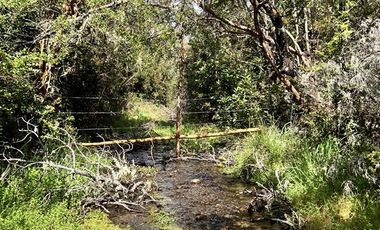 Agrícola en Venta en Ubicada en el sector El Mañío, a 1.5 km de la carretera que une Estaquilla y Los Muermos