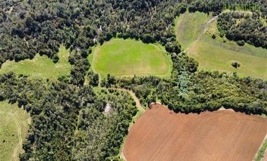 Agrícola en Venta en Ubicada en el sector El Mañío, a 1.5 km de la carretera que une Estaquilla y Los Muermos