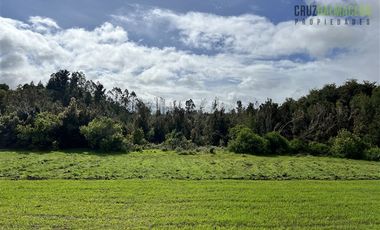 Agrícola en Venta en Ubicada en el sector El Mañío, a 1.5 km de la carretera que une Estaquilla y Los Muermos