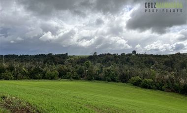 Agrícola en Venta en Ubicada en el sector El Mañío, a 1.5 km de la carretera que une Estaquilla y Los Muermos