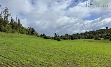 Agrícola en Venta en Ubicada en el sector El Mañío, a 1.5 km de la carretera que une Estaquilla y Los Muermos