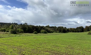 Agrícola en Venta en Ubicada en el sector El Mañío, a 1.5 km de la carretera que une Estaquilla y Los Muermos