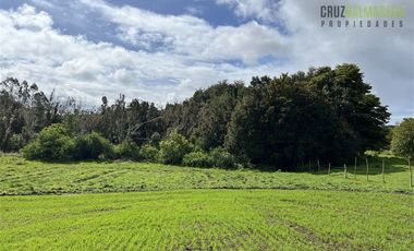 Agrícola en Venta en Ubicada en el sector El Mañío, a 1.5 km de la carretera que une Estaquilla y Los Muermos