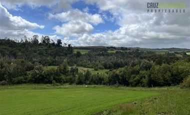 Agrícola en Venta en Ubicada en el sector El Mañío, a 1.5 km de la carretera que une Estaquilla y Los Muermos