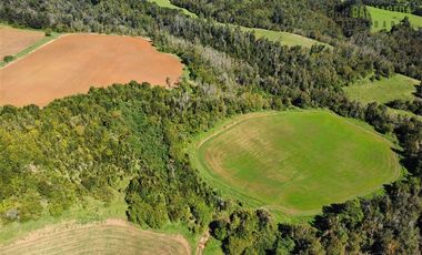 Agrícola en Venta en Ubicada en el sector El Mañío, a 1.5 km de la carretera que une Estaquilla y Los Muermos