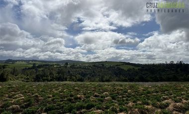 Agrícola en Venta en Ubicada en el sector El Mañío, a 1.5 km de la carretera que une Estaquilla y Los Muermos