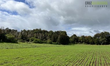 Agrícola en Venta en Ubicada en el sector El Mañío, a 1.5 km de la carretera que une Estaquilla y Los Muermos