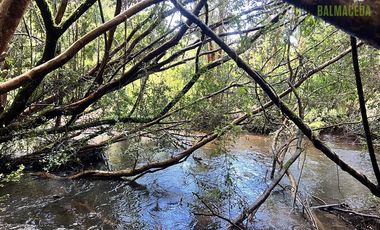 Agrícola en Venta en Ubicada en el sector El Mañío, a 1.5 km de la carretera que une Estaquilla y Los Muermos