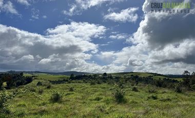 Agrícola en Venta en Ubicada en el sector El Mañío, a 1.5 km de la carretera que une Estaquilla y Los Muermos