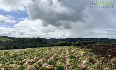Agrícola en Venta en Ubicada en el sector El Mañío, a 1.5 km de la carretera que une Estaquilla y Los Muermos