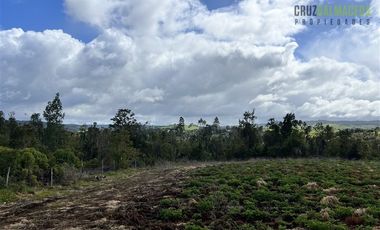 Agrícola en Venta en Ubicada en el sector El Mañío, a 1.5 km de la carretera que une Estaquilla y Los Muermos
