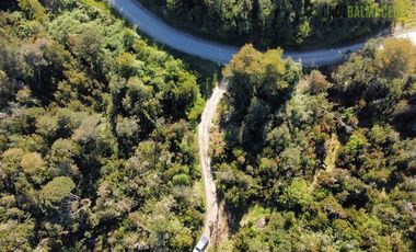 Agrícola en Venta en Ubicada en el sector El Mañío, a 1.5 km de la carretera que une Estaquilla y Los Muermos