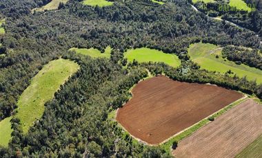Agrícola en Venta en Ubicada en el sector El Mañío, a 1.5 km de la carretera que une Estaquilla y Los Muermos