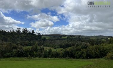 Agrícola en Venta en Ubicada en el sector El Mañío, a 1.5 km de la carretera que une Estaquilla y Los Muermos