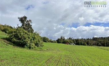 Agrícola en Venta en Ubicada en el sector El Mañío, a 1.5 km de la carretera que une Estaquilla y Los Muermos