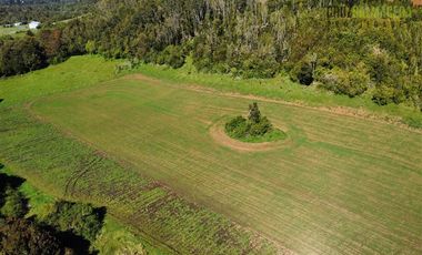Agrícola en Venta en Ubicada en el sector El Mañío, a 1.5 km de la carretera que une Estaquilla y Los Muermos