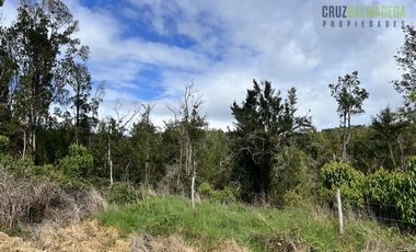 Agrícola en Venta en Ubicada en el sector El Mañío, a 1.5 km de la carretera que une Estaquilla y Los Muermos