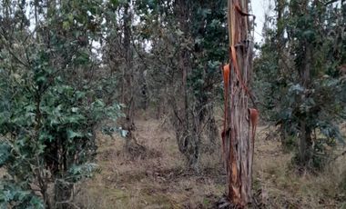VENDO HERMOSO TERRENO FRENTE RIO TOLTEN