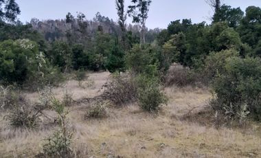 VENDO HERMOSO TERRENO FRENTE RIO TOLTEN