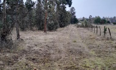 VENDO HERMOSO TERRENO FRENTE RIO TOLTEN