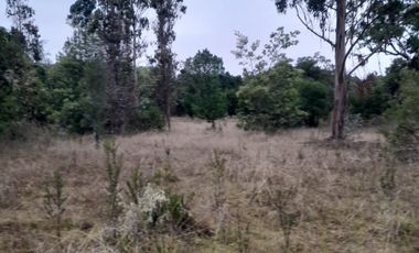 VENDO HERMOSO TERRENO FRENTE RIO TOLTEN