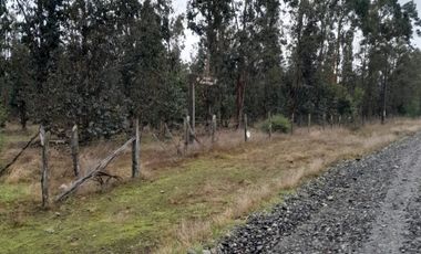 VENDO HERMOSO TERRENO FRENTE RIO TOLTEN