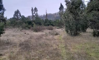 VENDO HERMOSO TERRENO FRENTE RIO TOLTEN
