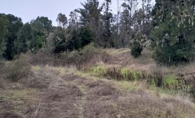 VENDO HERMOSO TERRENO FRENTE RIO TOLTEN