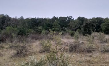 VENDO HERMOSO TERRENO FRENTE RIO TOLTEN
